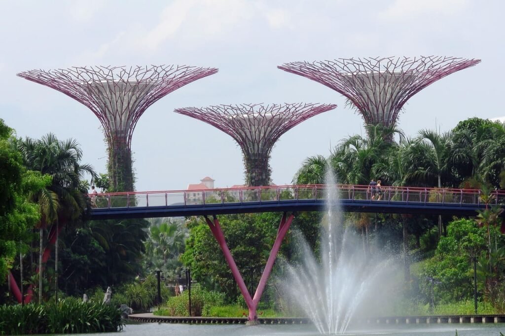 Supertree,Garden by the bay