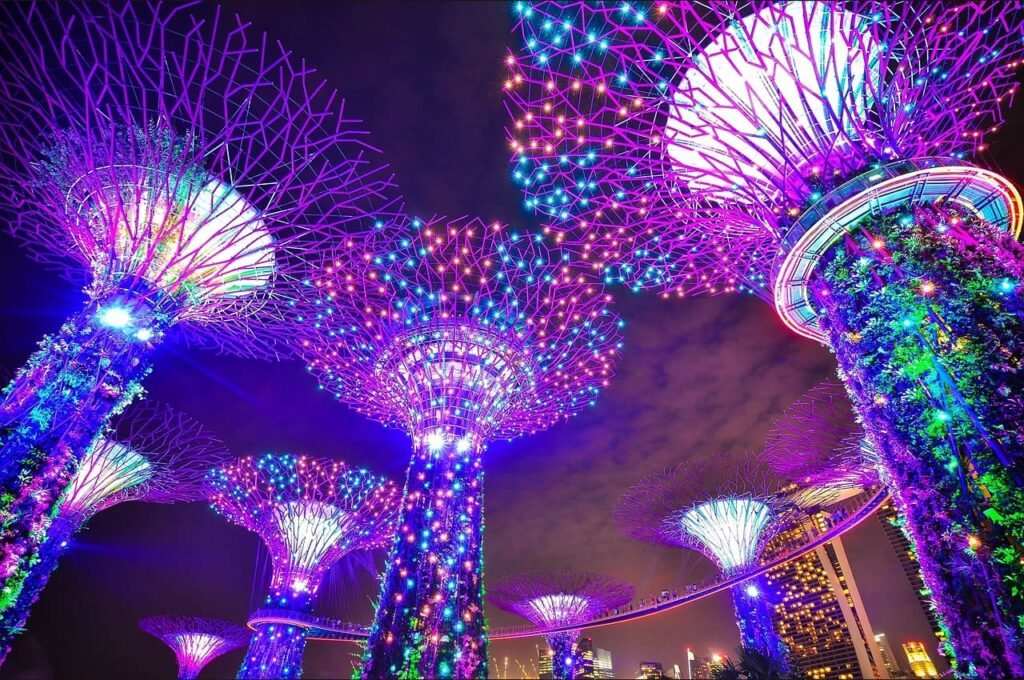 Supertree Garden by the bay at night